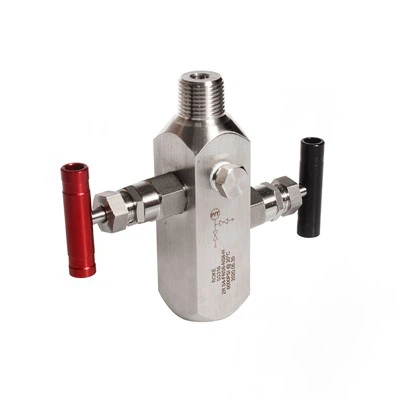 2 cara injap Manifold